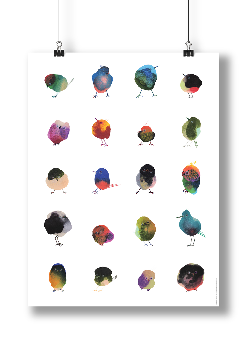 Bird poster