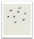 Starlings - High quality fine art print