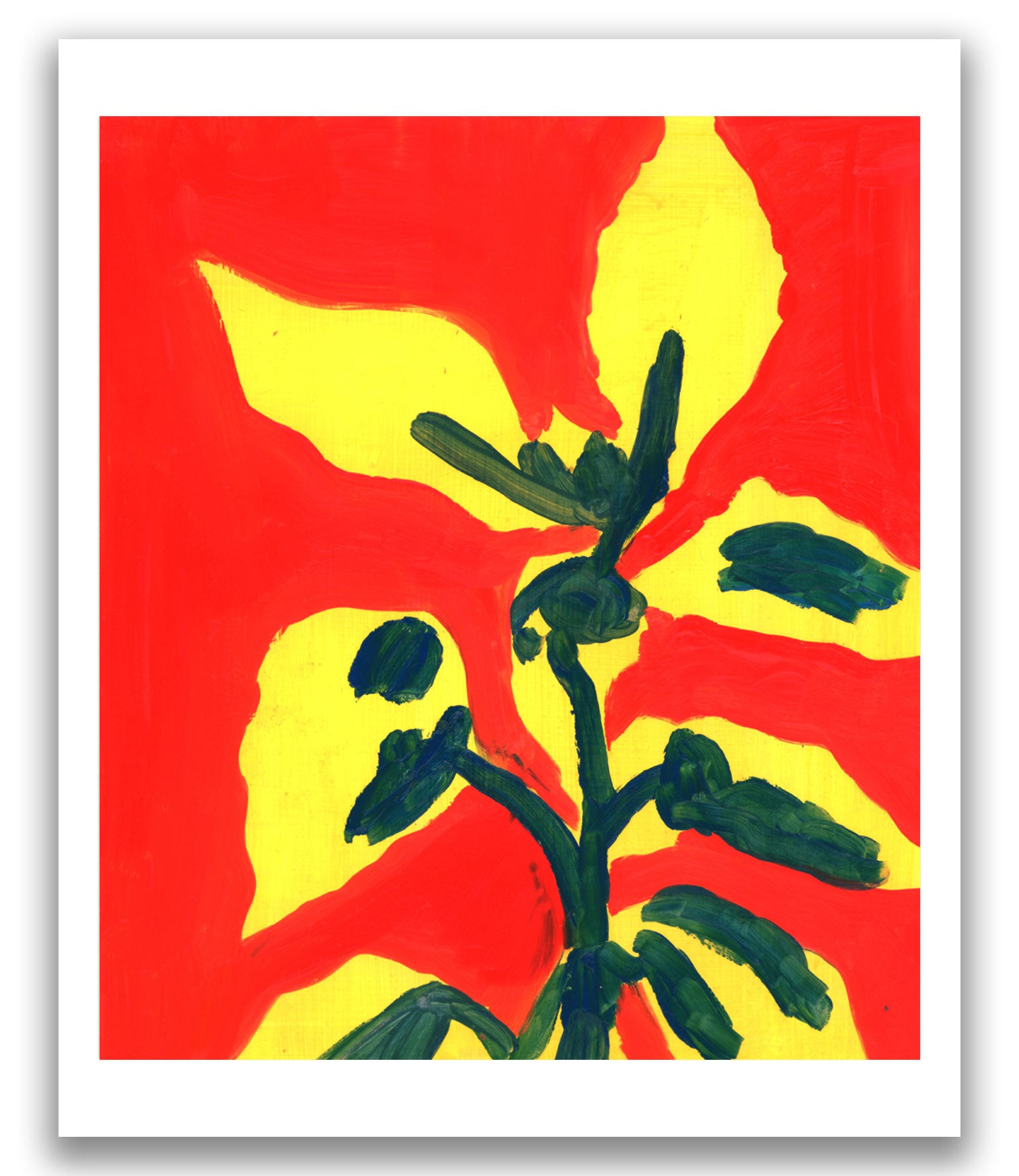 Sunflower - High quality fine art print