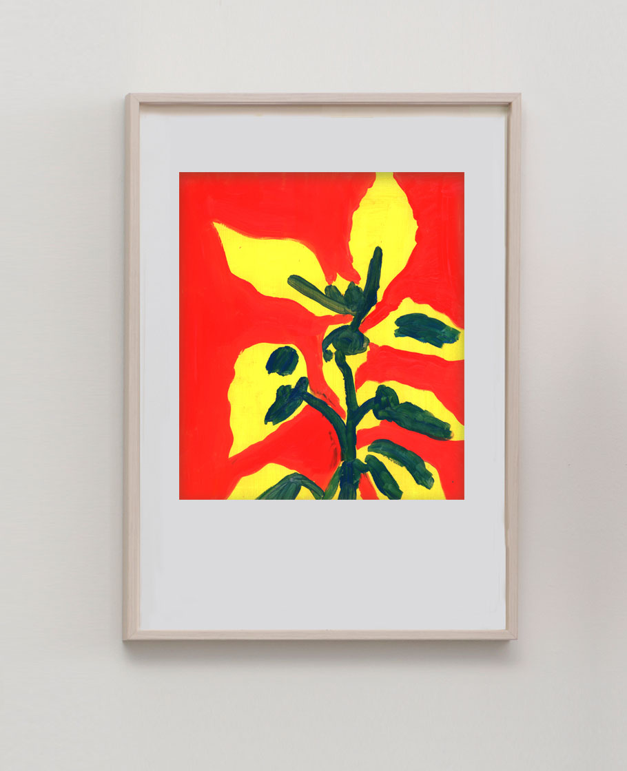 Sunflower - High quality fine art print